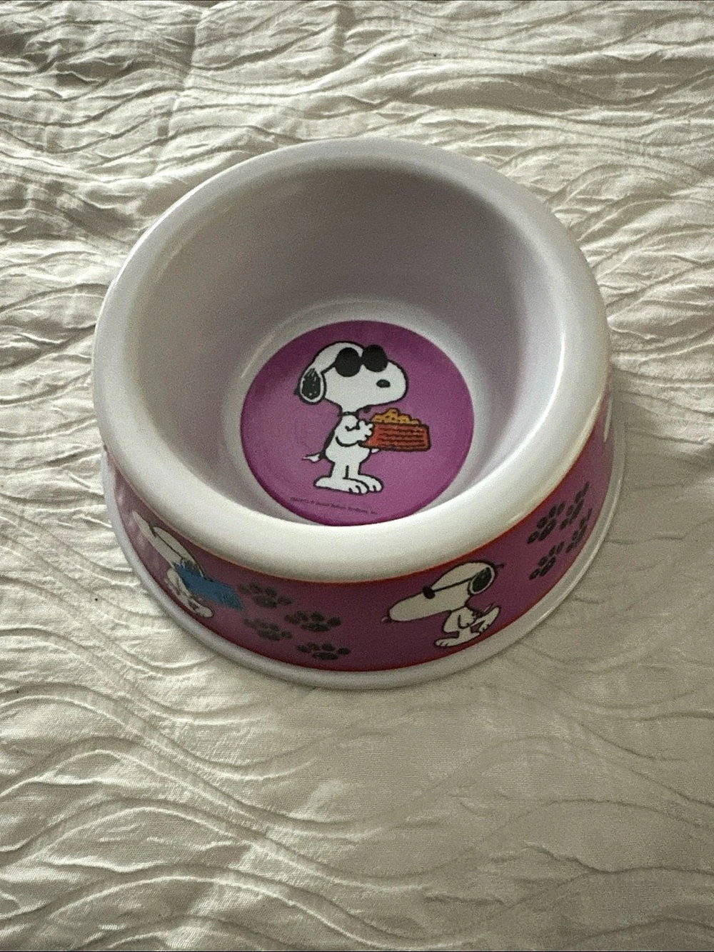 Peanuts Snoopy Pink Joe Cool Dog Bowl